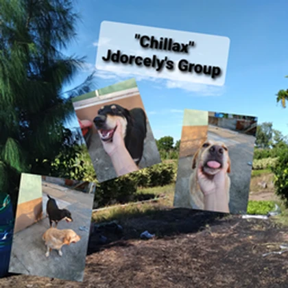Group Icon