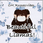 Beautiful Llamas!