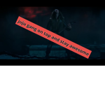 Robiex æ