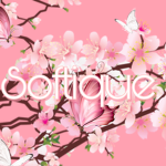 Softique Clothings
