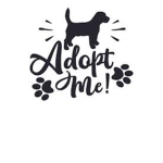 Team Adopt Me Forever :)