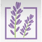 .Lavender.
