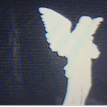 An angels love
