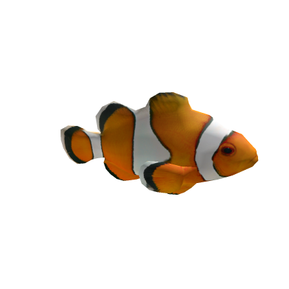 Another fishe