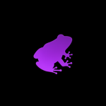 Purple Frog Studios