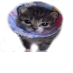 Fixed Rebooted icon