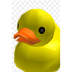 XxDUCKY SQUADxX