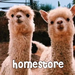 DOLUTES HomeStore