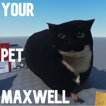 Dein Haustier Maxwell