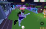 La team poney