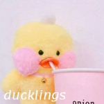 • Ducklings •
