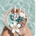 Aesthetic summer con