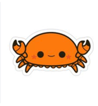 Sea animals 4 life