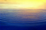 Ripples Clothing