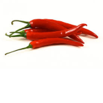 Spicy Sub