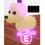 Doge_BD