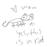 Rat world of rat