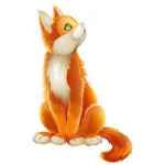 Cool pepole like cat's