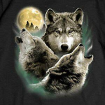 The Wolf Pack Karate
