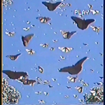 .ᴅᴏʟʟꜱ.