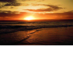 Sunshine in the Sand