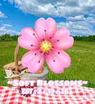 ~Soft Blossoms~