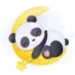 Pandas Forever UwU