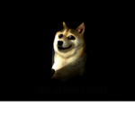 The leader of the dark doge tribe