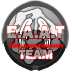 Elite Armed Assault Team Defence Squad