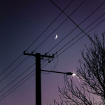 ⋆synergy⋆