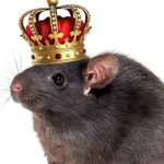 sewer rats clothing