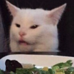 -Kats Bowl-