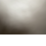 Waht is guy