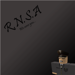 R.N.S.A. (Robloxian National Security Agency)