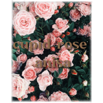 Cupid rose
