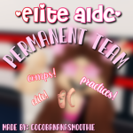 - Elite Permanent Team -