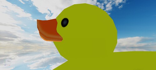 Get over the Duck!