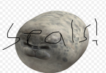 Burrito Seals Group