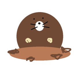 撮影場