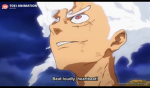 Luffy fanboy