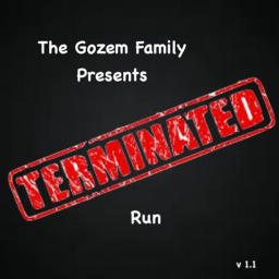 Terminated {RUN}