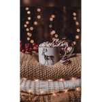 RudolphXAlexis