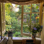 Haleys apparels