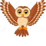 Brandon owl club.