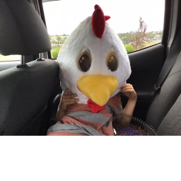 Hangout Chicken! [Donate On Group]