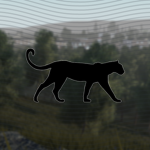 Panther Taxis