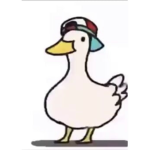 WELCOME TO DUCK CLUB