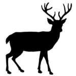 Deerblox Studios