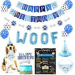 Dog Birthday Party Blow Out Update!
