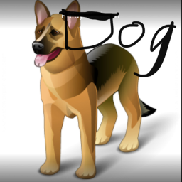 Captain doge boi